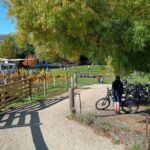 1 lake dunstan trail great ride bicycle hire and transfers mar Lake Dunstan Trail Great Ride Bicycle Hire and Transfers (Mar )