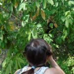 1 lake gatun wildlife tour from panama city Lake Gatun Wildlife Tour From Panama City