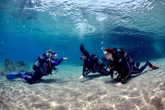 Lanzarote Introductory Scuba Diving Experience