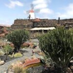 1 lanzarote landscapes tour including timanfaya national park Lanzarote Landscapes Tour Including Timanfaya National Park
