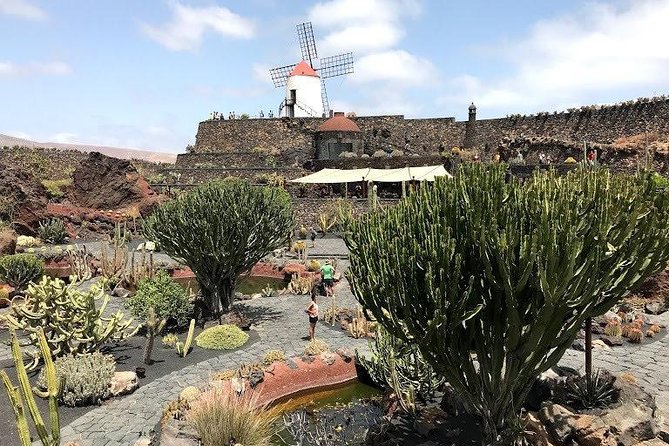 Lanzarote Landscapes Tour Including Timanfaya National Park