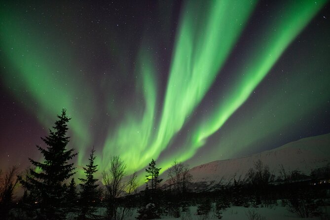 Lapland Northern Lights Tour From Tromso - Tour Overview