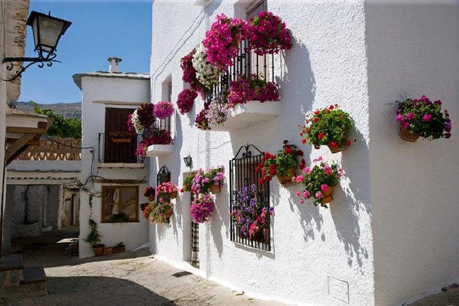 Las Alpujarras Full-Day Tour With Optional Lunch From Granada - Cancellation Policy and Logistics