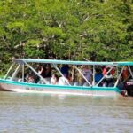 1 las baulas national marine park boat safari from tamarindo mar Las Baulas National Marine Park Boat Safari From Tamarindo (Mar )