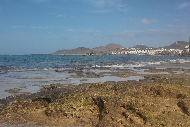 Las Canteras Beach Snorkeling and Species Identification Tour