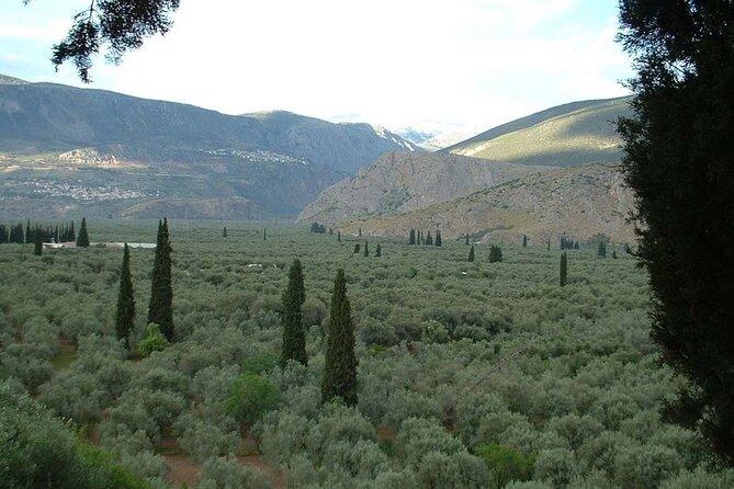 1 liapades private guided beaches and olive grove hike mar Liapades Private Guided Beaches and Olive Grove Hike (Mar )