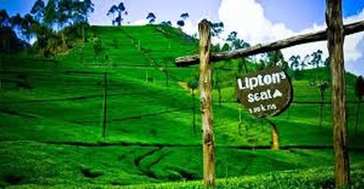 1 liptons seat and tea factory tea plantation day tour Lipton's Seat and Tea Factory & Tea Plantation Day Tour