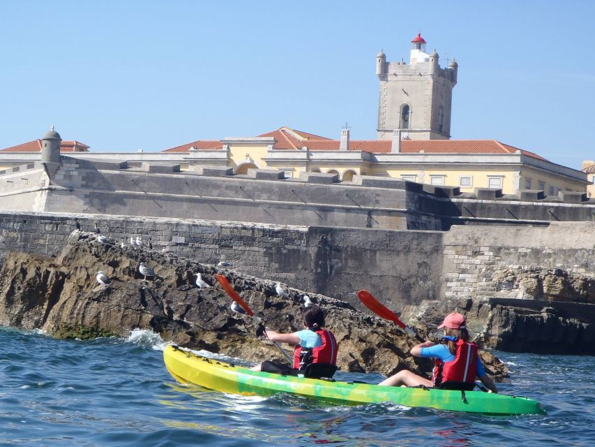 1 lisbon coast guided kayak tour Lisbon Coast Guided Kayak Tour