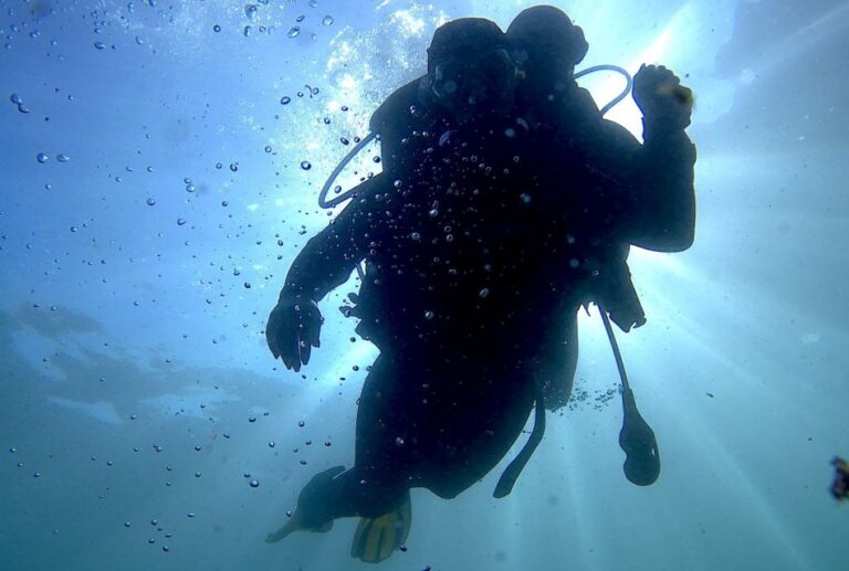 Lisbon: Eco-Friendly Beginner’s Scuba Diving