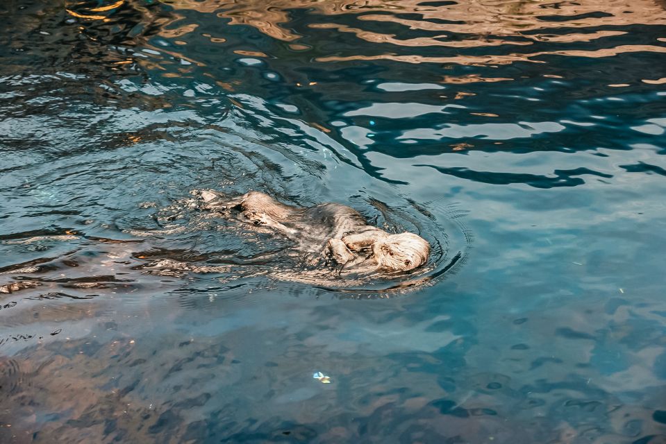 1 lisbon oceanarium of lisbon entrance ticket Lisbon: Oceanarium Of Lisbon Entrance Ticket