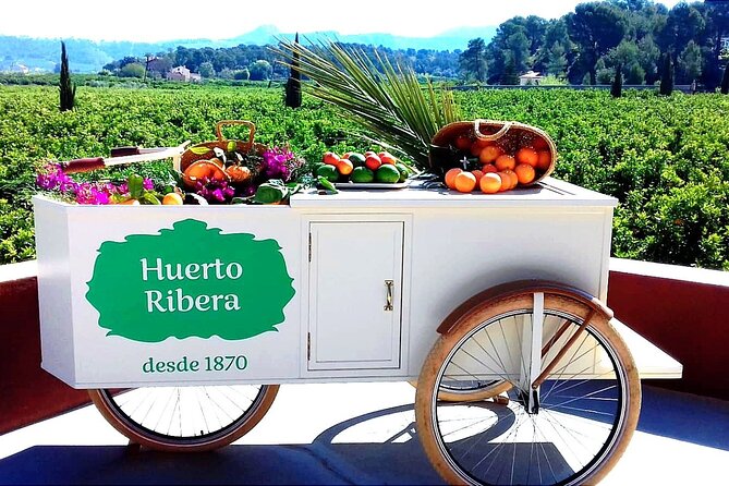 Live an Experience Among Orange Trees in Huerto Ribera