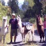 1 llama trek taster kowhai river valley and native woodland tour Llama Trek (Taster) - Kowhai River Valley and Native Woodland Tour