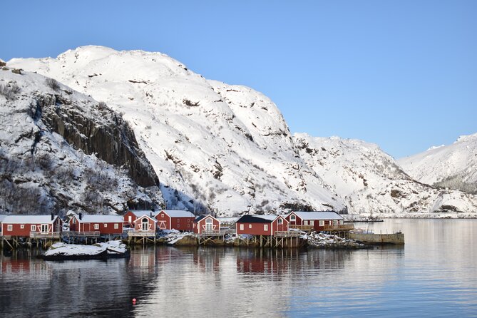 Lofoten PRIVATE Tour From Leknes – Large Group (5-8 Pax)