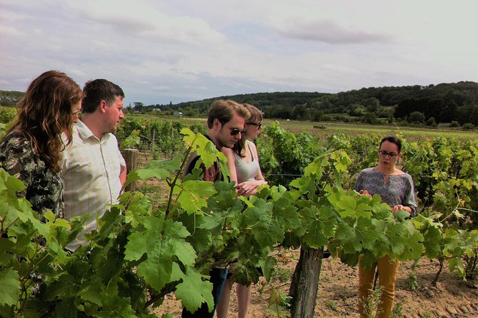 Loire Valley Half Day Wine Tour From Tours : Vouvray Wine Tasting