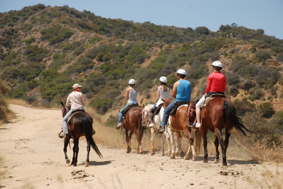 1 los angeles 2 hour hollywood trail horseback riding tour Los Angeles: 2-Hour Hollywood Trail Horseback Riding Tour
