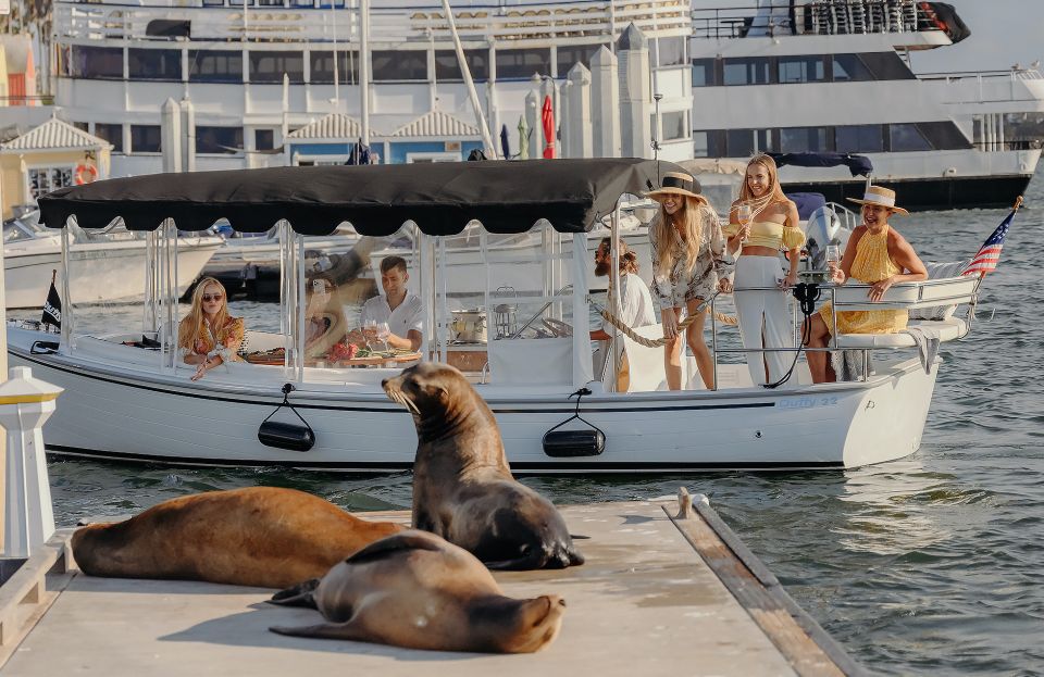 1 los angeles luxury cruise with wine cheese sea lions Los Angeles: Luxury Cruise With Wine, Cheese & Sea Lions