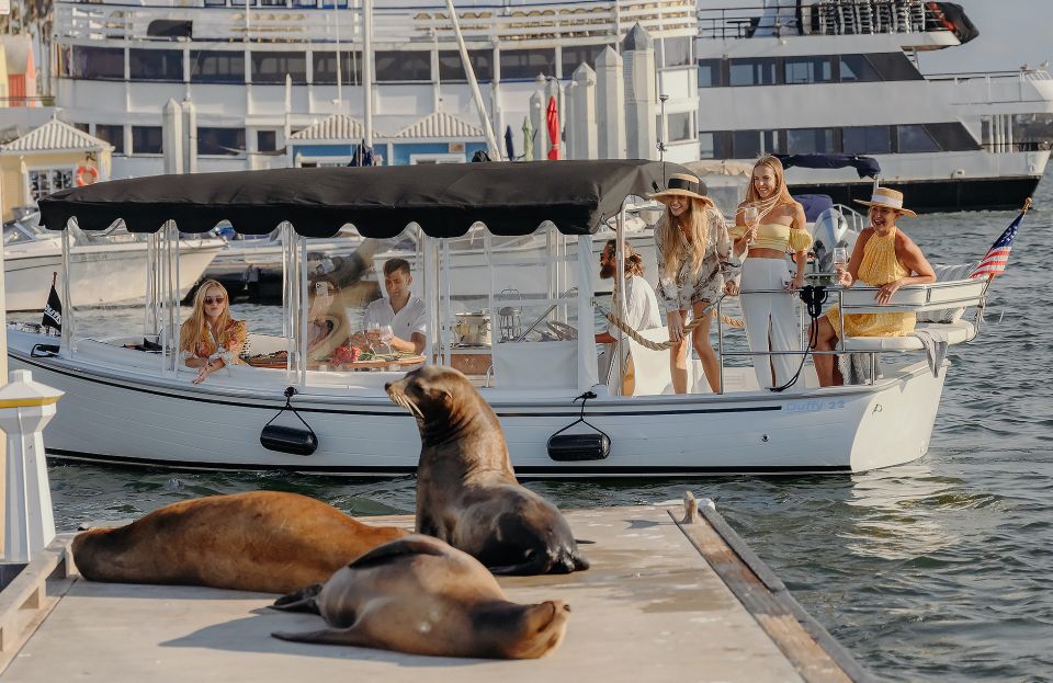 Los Angeles: Luxury Cruise With Wine, Cheese & Sea Lions