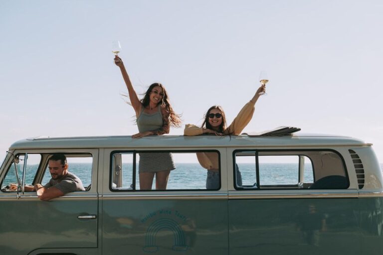 Los Angeles: Private Vintage VW Bus Tour in Malibu