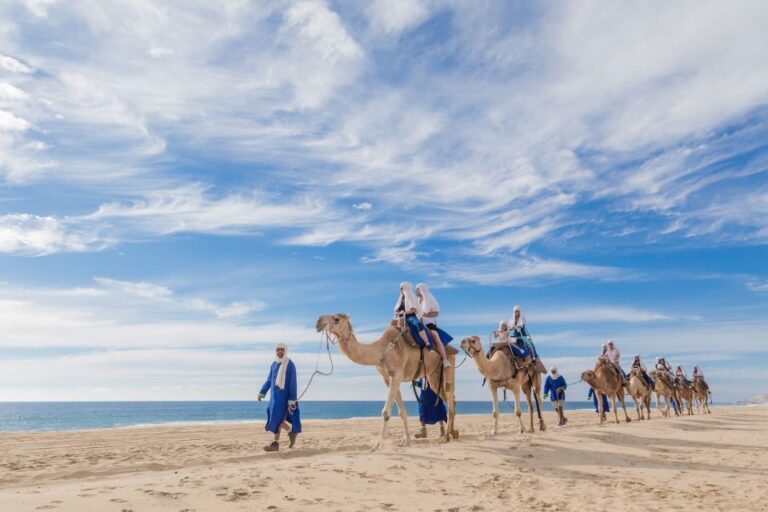 Los Cabos: Desert & Sea Camel Safari Tour With Lunch