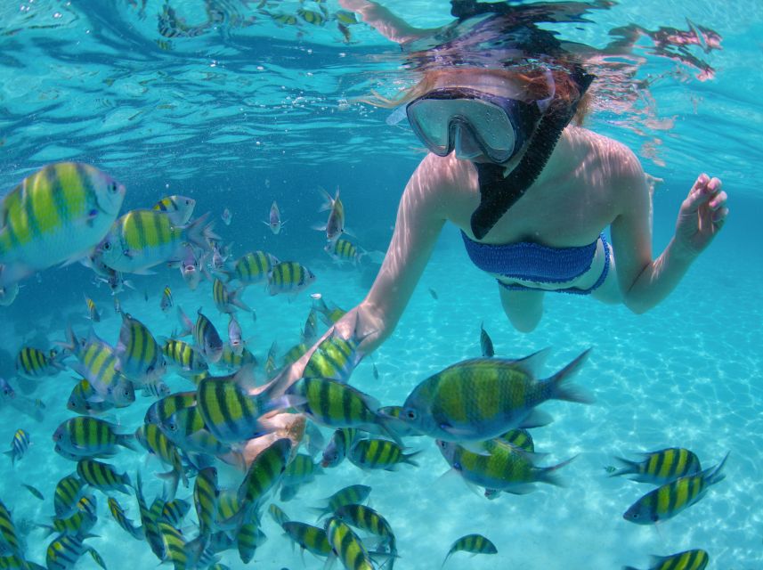 1 los cabos sailing cruise with snorkeling and lunch Los Cabos: Sailing Cruise With Snorkeling and Lunch