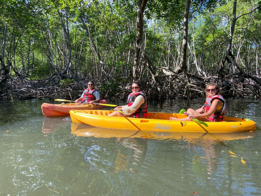 1 los haitises all one kayaking hiking boat and swimming Los Haitises All One: Kayaking, Hiking, Boat, and Swimming