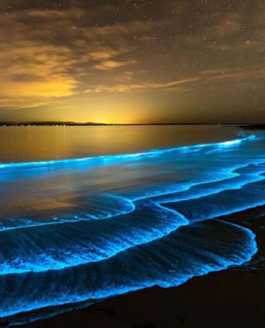 Luminous Lagoon Glistening Waters Night Tour