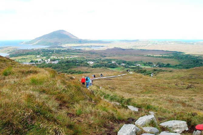 Lunch at the Connemara National Park Tea Rooms. Letterfrack, Galway