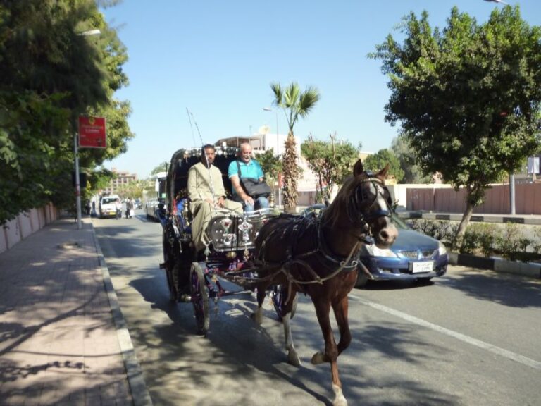 Luxor: City Tour by Horse Carriage From the East Bank