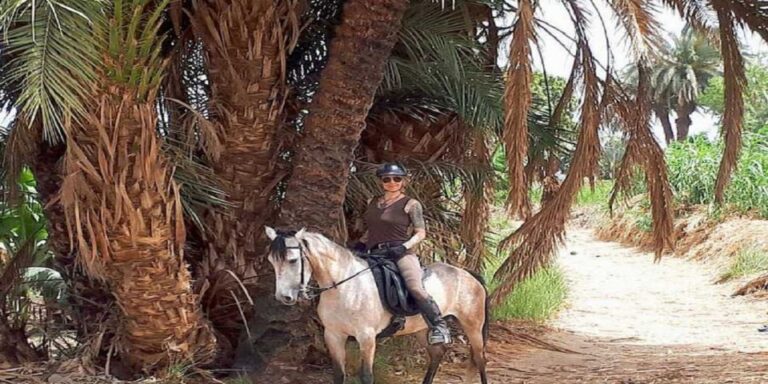 Luxor: Scenic Camel or Horse Ride