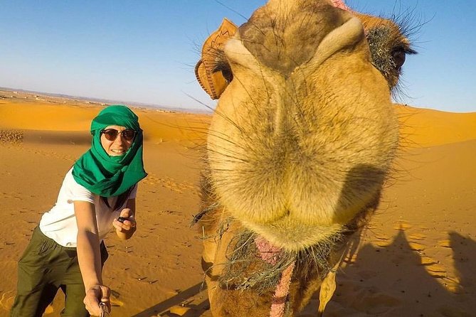 LUXURY Camp 3 Days Desert Trip Marrakech to Merzouga & Camel Trek