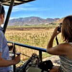 1 luxury private wine tasting tour to guadalupe valley from san diego Luxury Private Wine Tasting Tour to Guadalupe Valley From San Diego