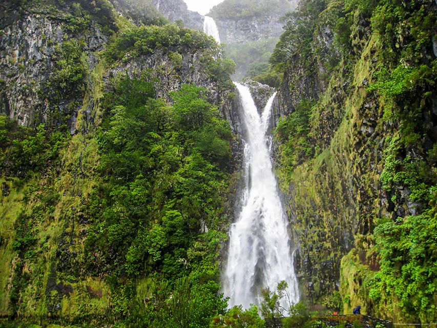 1 madeira day trip levada walk in the rabacal valley Madeira Day Trip: Levada Walk in the Rabaçal Valley