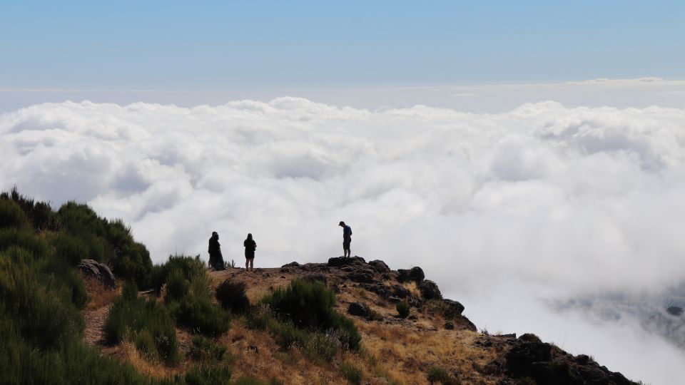 1 madeira full day private jeep tour east or west Madeira: Full Day Private Jeep Tour East or West