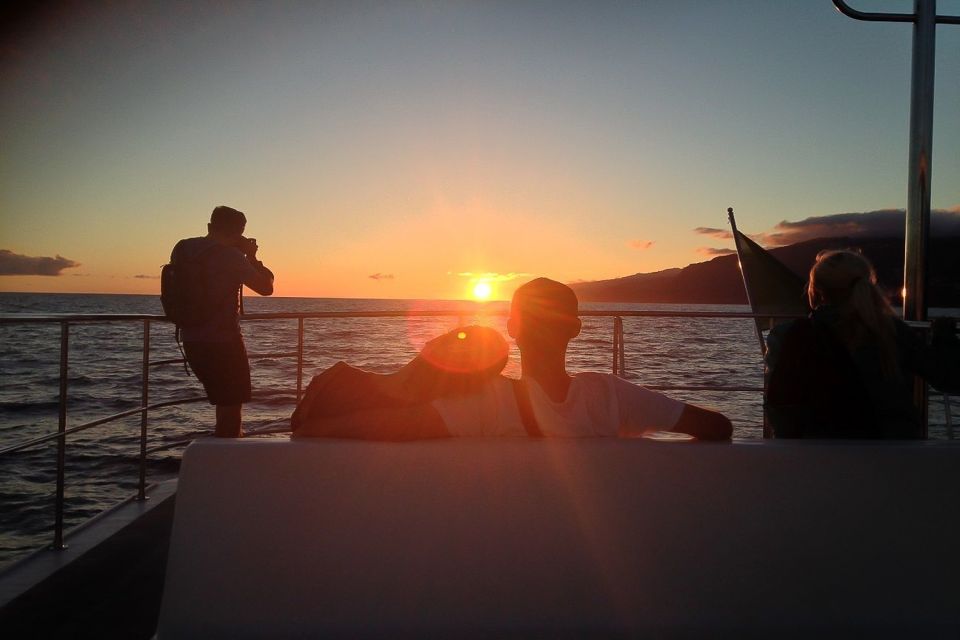 1 madeira funchal sunset tour by catamaran Madeira: Funchal Sunset Tour by Catamaran