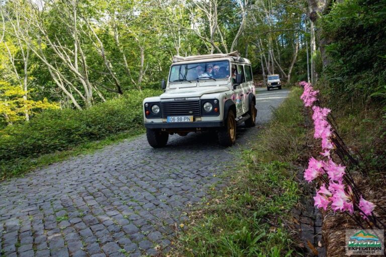 Madeira: Half-Day Nun’s Valley and Sea Cliff Tour