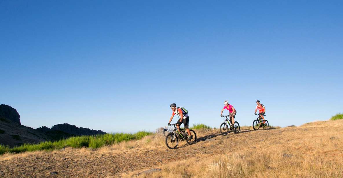 1 madeira island guided mountain bike tour Madeira Island: Guided Mountain Bike Tour