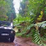 1 madeira jeep safari tour Madeira: Jeep Safari Tour