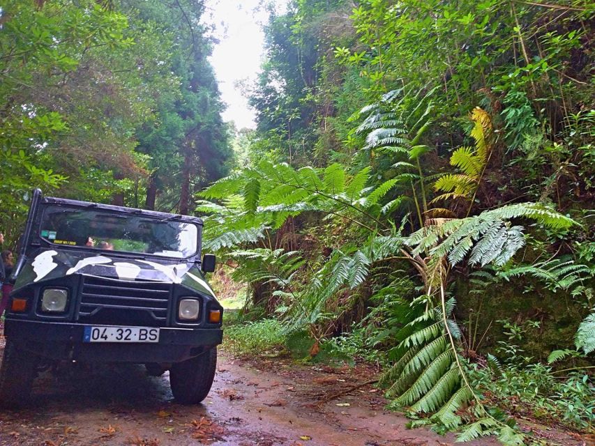 1 madeira jeep safari tour Madeira: Jeep Safari Tour