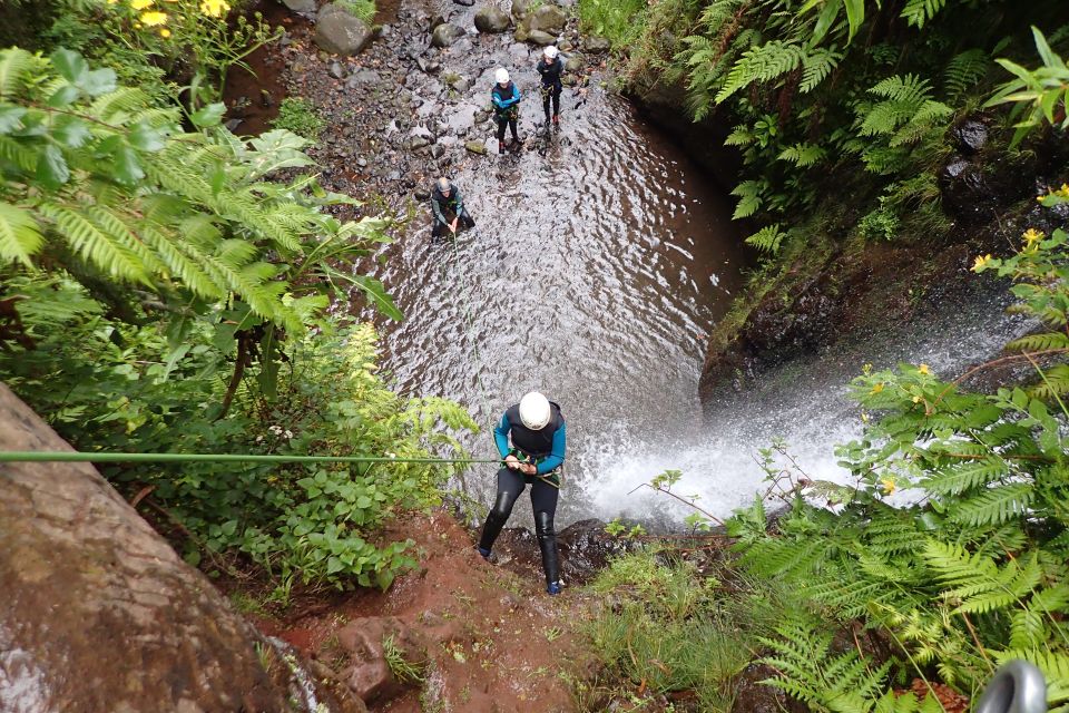 1 madeira level 1 canyoning adventure Madeira: Level-1 Canyoning Adventure