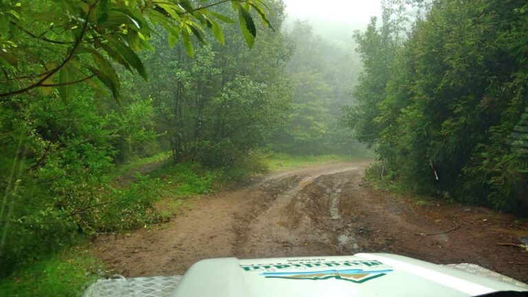 Madeira: Mini-Combo East Challenge: Jeep Safari Levada