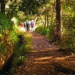 1 madeira paradise valley levada walk Madeira: Paradise Valley Levada Walk