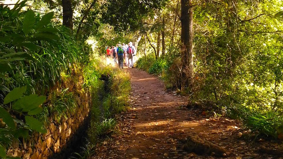 1 madeira paradise valley levada walk Madeira: Paradise Valley Levada Walk