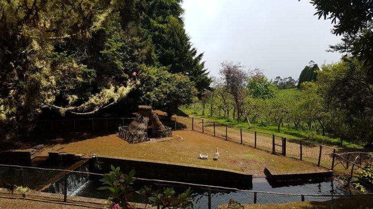 Madeira: Santana Traditional Houses Private Half-Day Tour