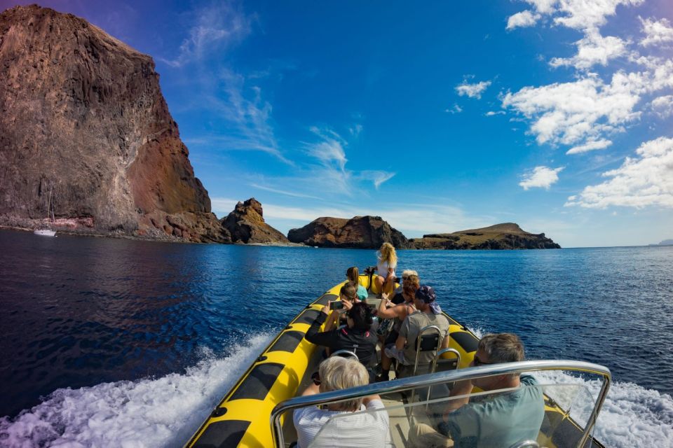 1 madeira whale and dolphin watching tour Madeira: Whale and Dolphin Watching Tour