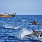 1 madeira whale watching excursion in a traditional vessel Madeira: Whale Watching Excursion in a Traditional Vessel