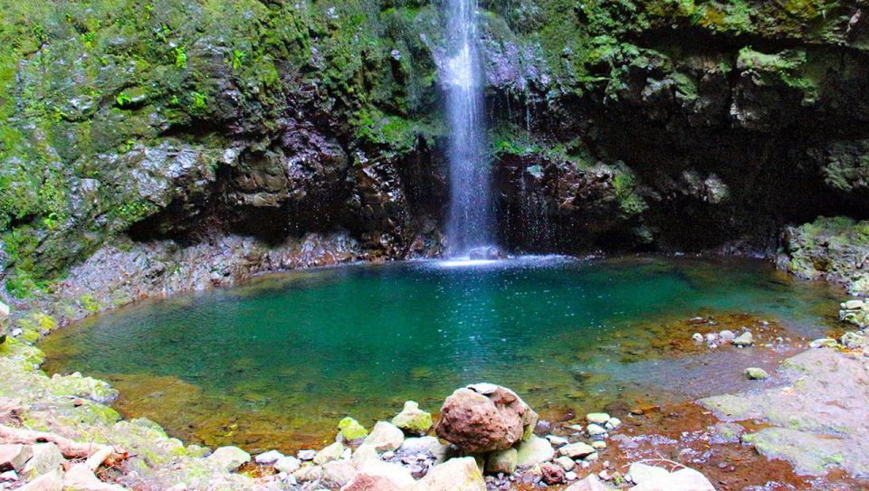 1 madeira wildfires green cauldron and levada walk Madeira: Wildfires, Green Cauldron, and Levada Walk