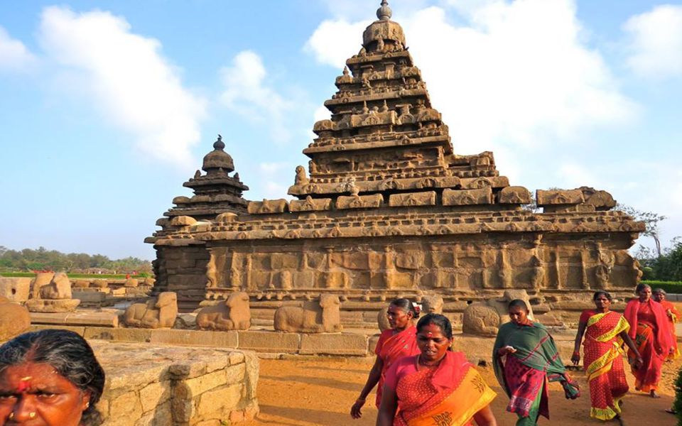 Mahabalipuram and Kanchipuram Private Caves & Temples Tour - Experience Insights