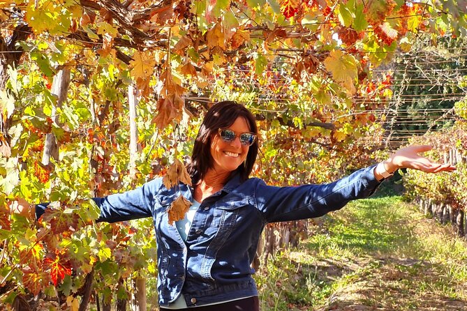 1 maipo valley wine tour with 4 vineyards from santiago Maipo Valley Wine Tour With 4 Vineyards From Santiago.
