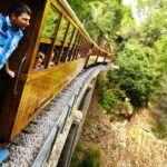 1 mallorca in one day sightseeing tour with boat ride and vintage train Mallorca in One Day Sightseeing Tour With Boat Ride and Vintage Train