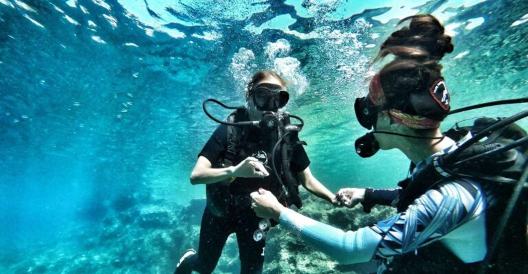 Malta: Scuba Diving Lesson & Guided Excursion